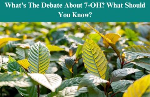 What’s The Debate About 7-OH? What Should You Know?