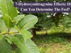 7-Hydroxymitragynine Effects: How Can You Determine The Feel?