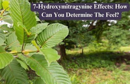 7-Hydroxymitragynine Effects: How Can You Determine The Feel?