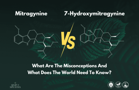 Mitragynine vs 7-Hydroxymitragynine: What Are The Misconceptions And What Does The World Need To Know?