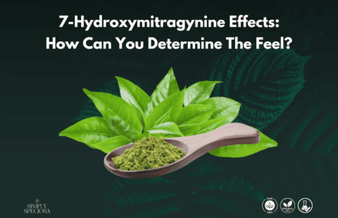 7-Hydroxymitragynine Effects: How Can You Determine The Feel?