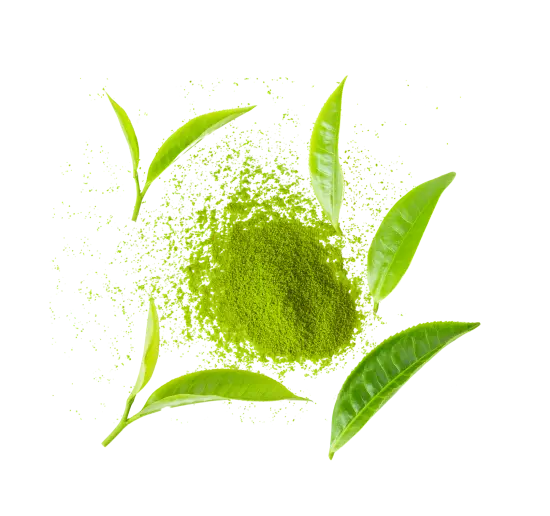 matcha green tea powder and leaf