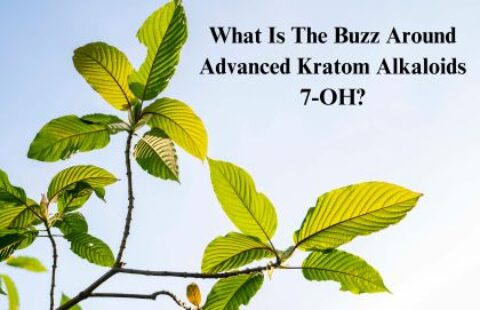 What Is The Buzz Around Advanced Kratom Alkaloid 7-OH?