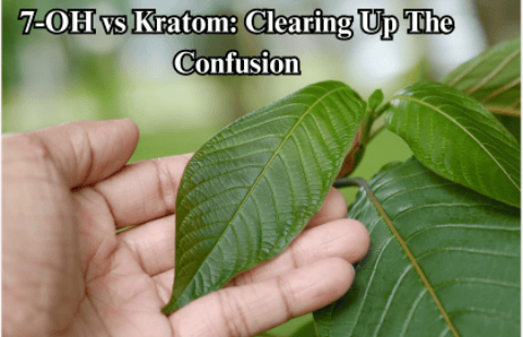 7-OH vs Kratom: Clearing Up The Confusion