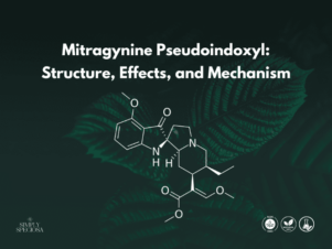 Mitragynine Pseudoindoxyl: Structure, Effects, and Mechanism