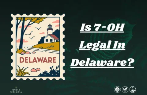 Is 7-OH Legal In Delaware? Key Facts For Buyers