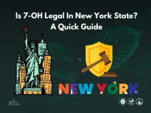 Is 7-OH Legal In New York State? A Quick Guide
